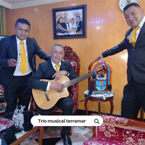 trios la serena|Trío Musical Terramar, Serenatas Música de Cuerda。